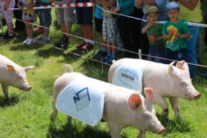 MisGrosi Kinderbetreuung Säulirennen