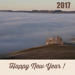 happy-new-year-2017-misgrosi-kinderbetreuung-leihoma