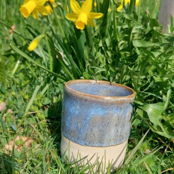 Farbenfrohe Grossfamilie